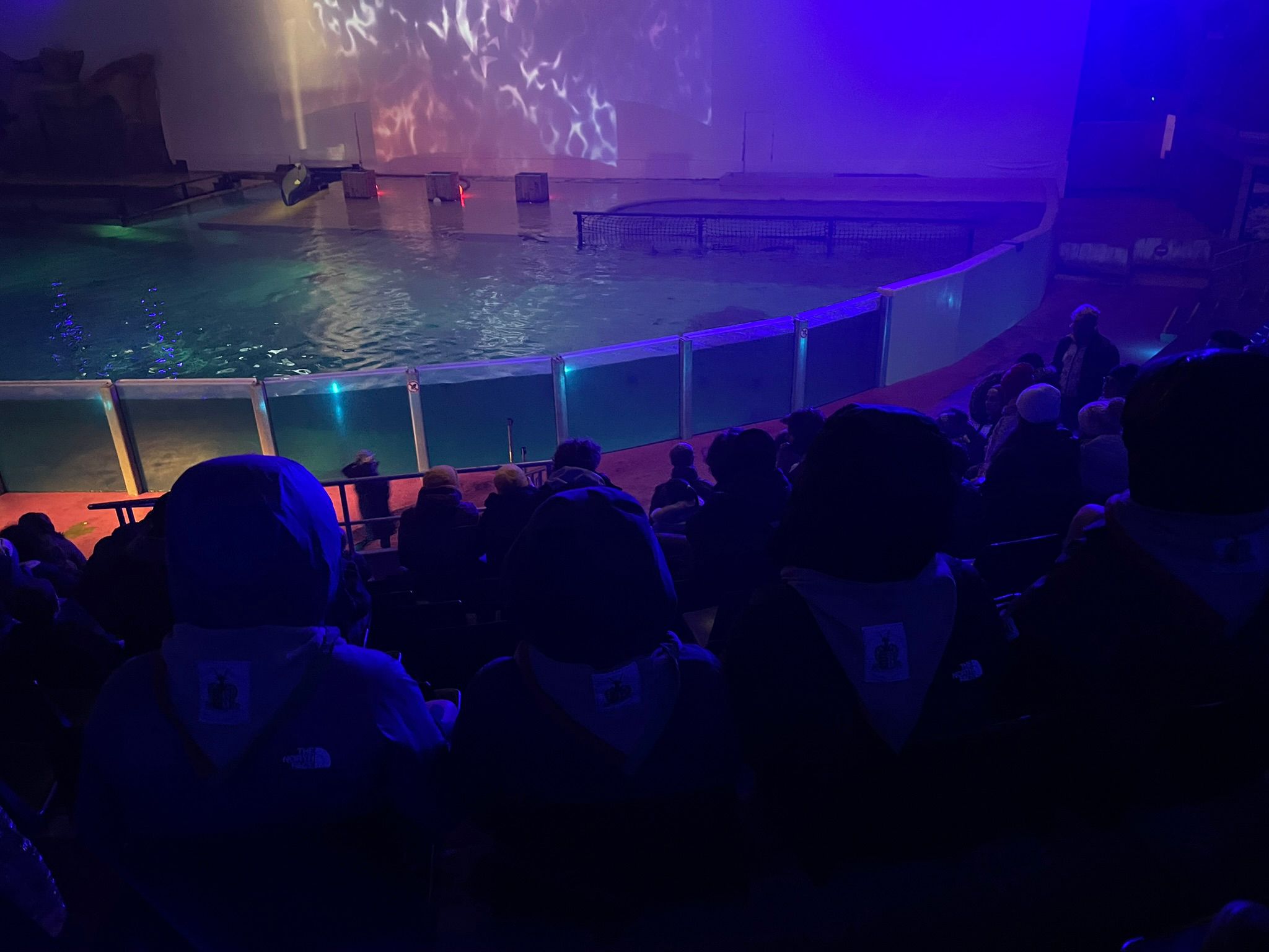 Sint-Martinus den XIIde - Winterkamp JVK 2024